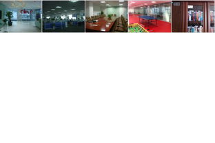 猎聘网 打造高端文化艺术交流平台，赋能人才生态新体验